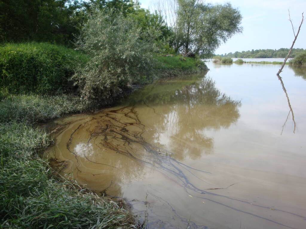 Odcinek Wisły poniżej EC Kozienice. © WWF Polska