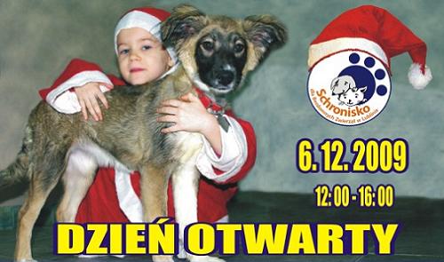 Dzień otwarty Schroniska dla Bezdomnych Zwierząt w Lublinie