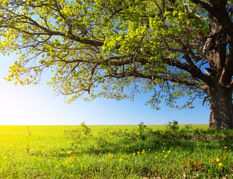 Jeśli jesteś fanem popularnej gry Lotto, zastanów się czy nie lepiej będzie kupić swój kupon lotto online.