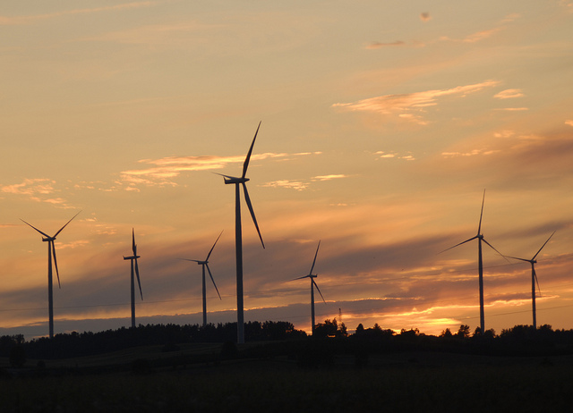 Do 2020 roku 15 proc. energii elektrycznej będziemy w Polsce produkować ze źródeł odnawialnych - deklaruje minister gospodarki Waldemar Pawlak, fot. SCA Svenska Cellulosa Aktiebolaget