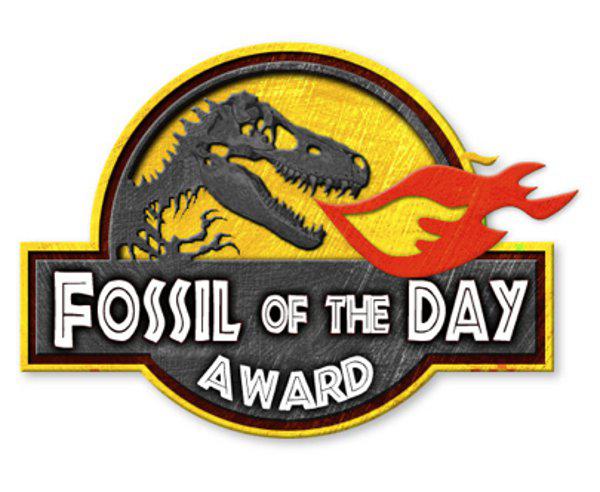 Fossil of the day