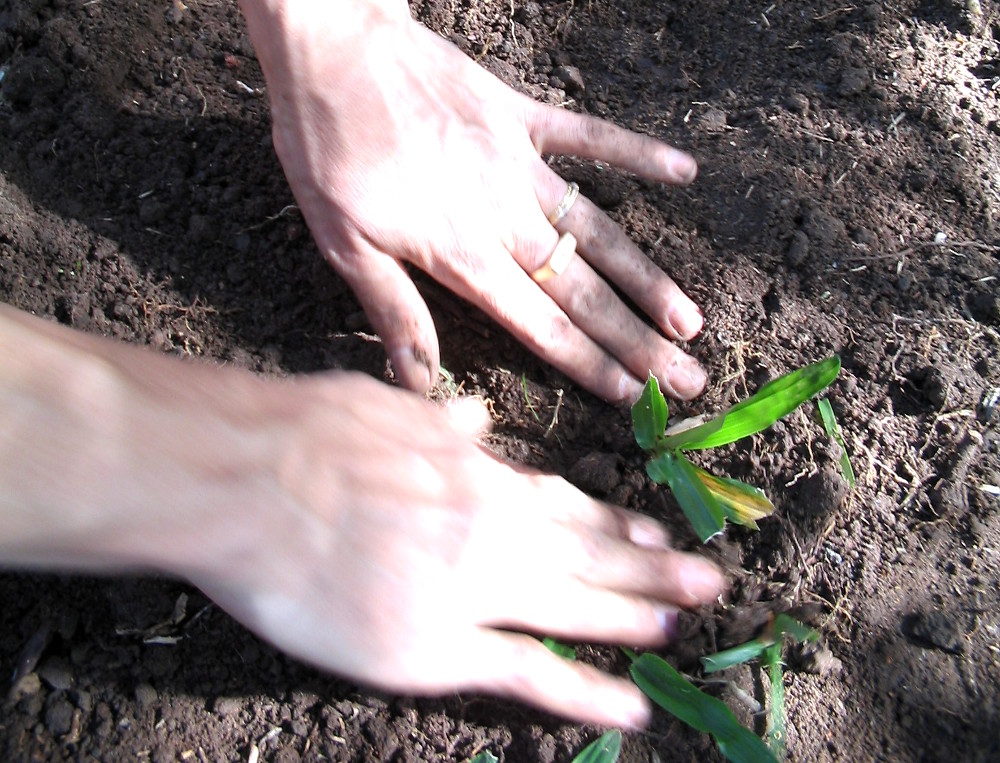 Freeimages.com/Dieter Joel Jagnow