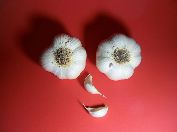 Fot. Steve Brackenrich, www.sxc.hu