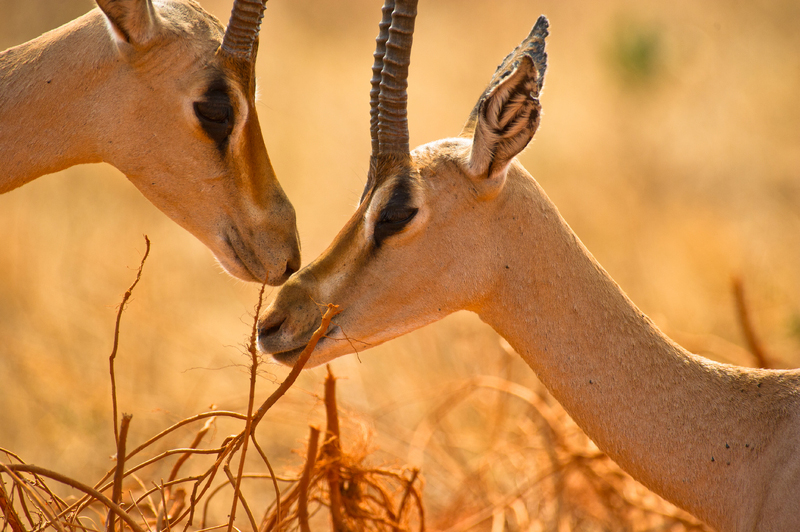Źródło: Dreamstime