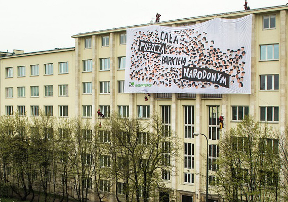 Źródło: Greenpeace