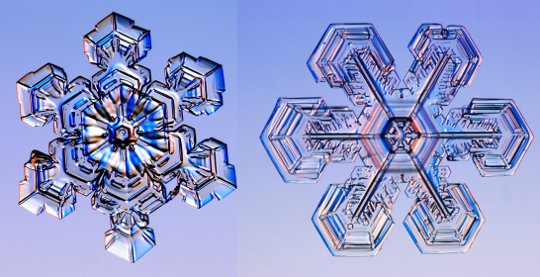 Fot. Kenneth Libbrecht