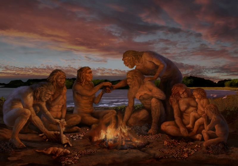 źródło: newsdesk.si.eduźródło: Karen Carr, Karen Carr Studio, Inc.