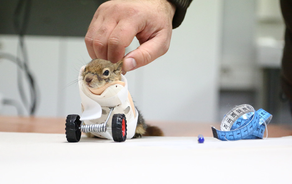 Karamel, fot. https://www.aydin.edu.tr/en-us/Pages/default.aspx