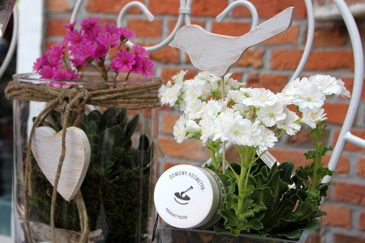 Antyoksydanty – Nasza tajna broń