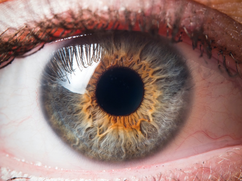Irydologia polega na diagnozowaniu chorób na podstawie wyglądu tęczówki. Źródło: shutterstock