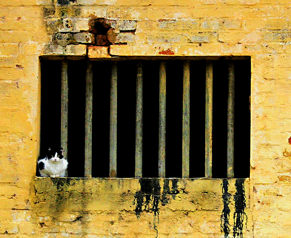 Fot. sxc.hu