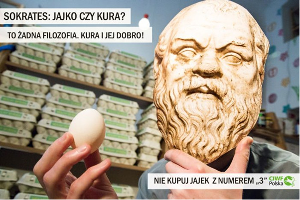 CIWF Polska