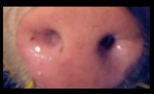 Nie zaśmiecaj lasu! Bo… Pigman Cię ukarze!