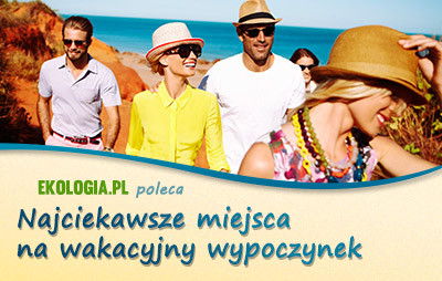 Ekologia.pl poleca: Wejmutka: Komfort i przyroda w sercu Białowieży