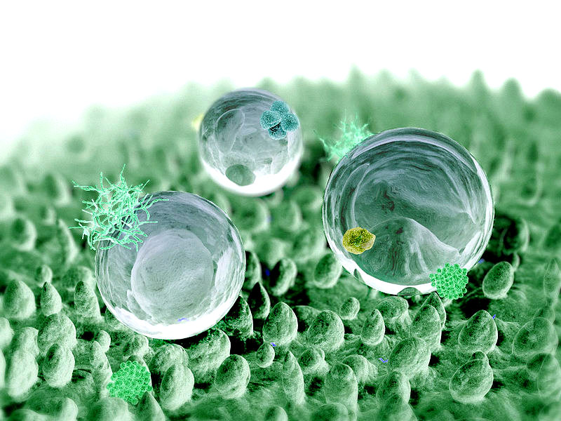 Komputerowa grafika kropel wody na powierzchni liścia lotosu, autor: William Thielicke/ Wikipedia CC