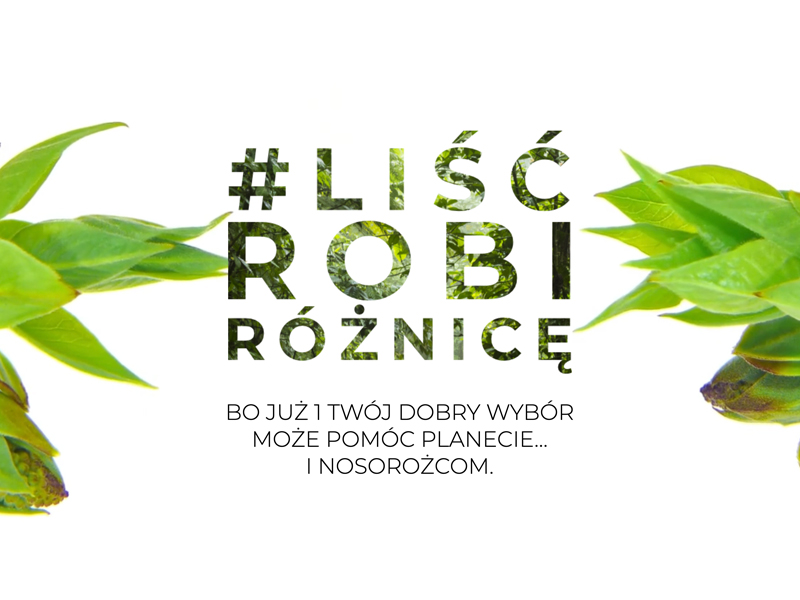 liść
