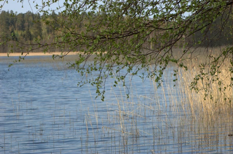 Majcz Wielki. Fot. boaedon.pl