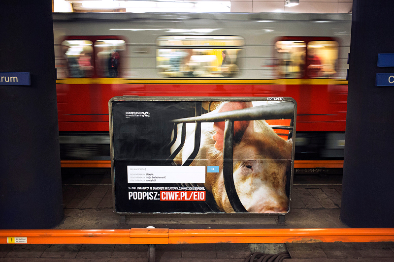 www.ciwf.pl/eio
