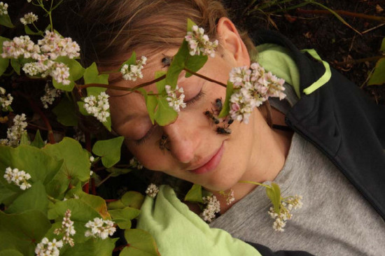 Łowcy miodu. Arkana