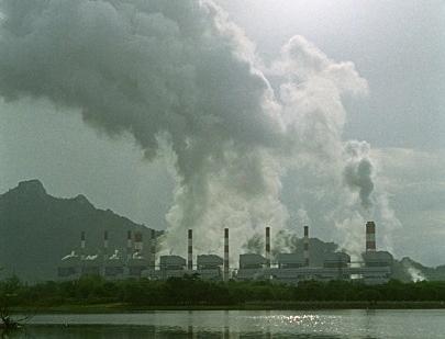 Fot. Greenpeace