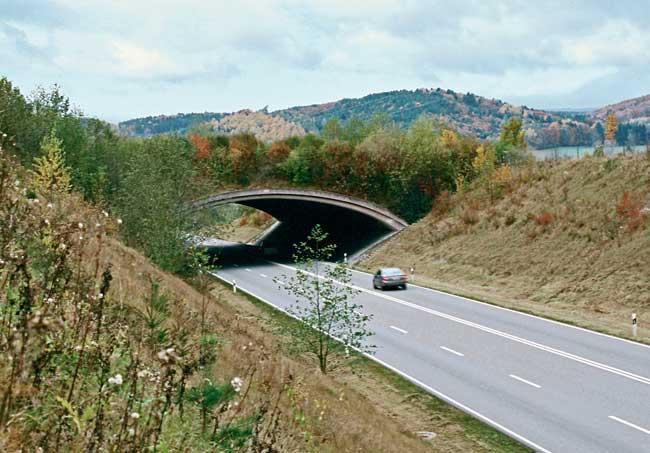 Przykład przejścia górnego - most krajobrazowy. Fot. pracownia.org.pl