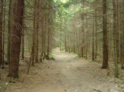 Fot: Małgorzata Sztukowska