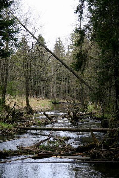 Fot: Wikipedia, GNU Free Documentation license