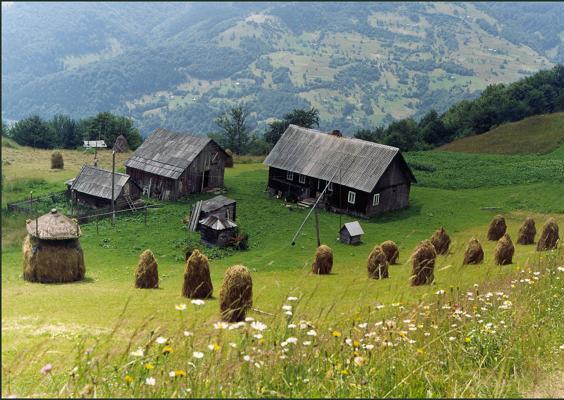 Japonia, fot.: sxc.hu