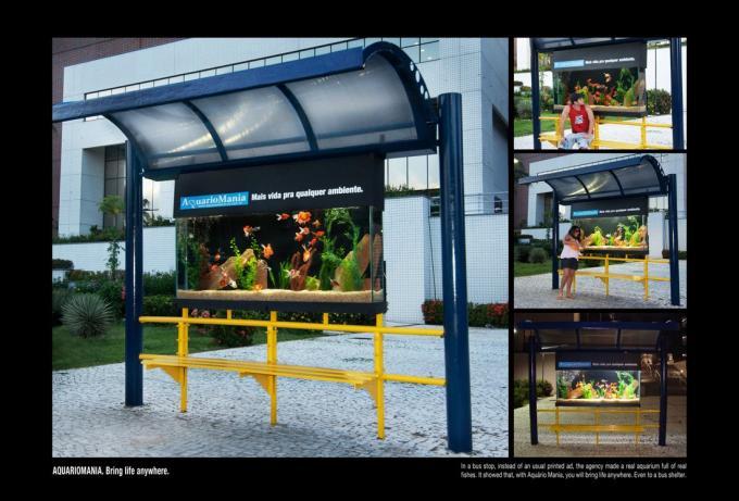 Fot.: Akwarium na przystanku autobusowym (Aquariomania.net)