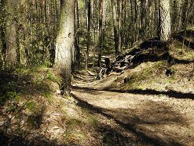 Fot.: Jerzy Morawski