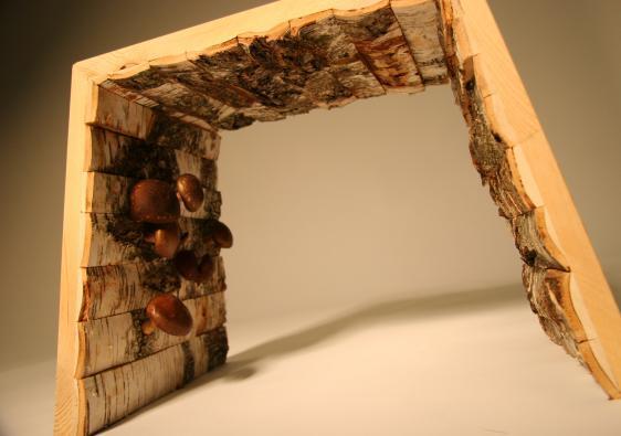 Fot.: Shinwei Rhoda Yen