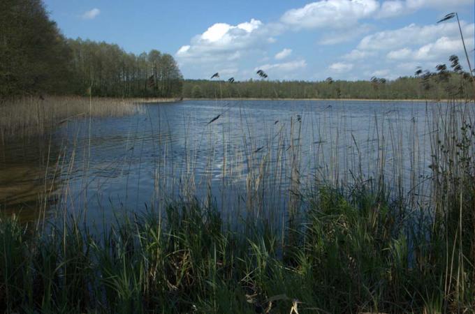 Jezioro Jorzec. Fot. Michał Kaczorowski (boaedon.pl)