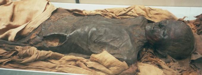 Fot.: mumia w British Museum (Wikipedia, GNU)