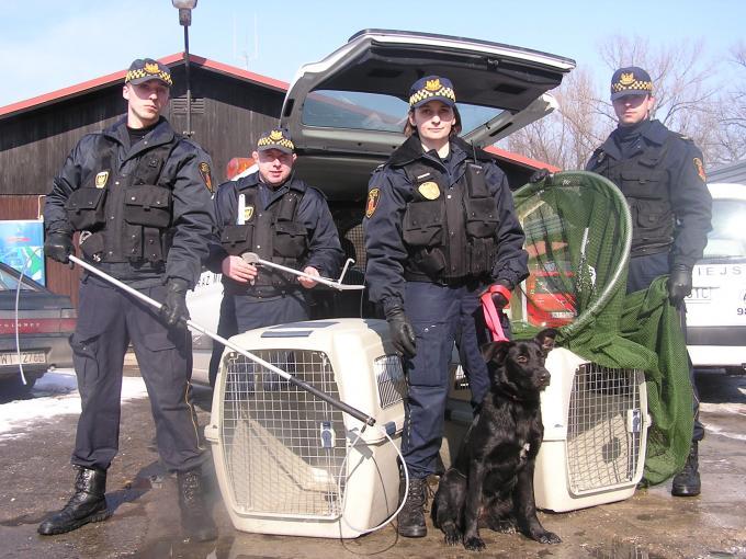 Fot.: Straż Miejska