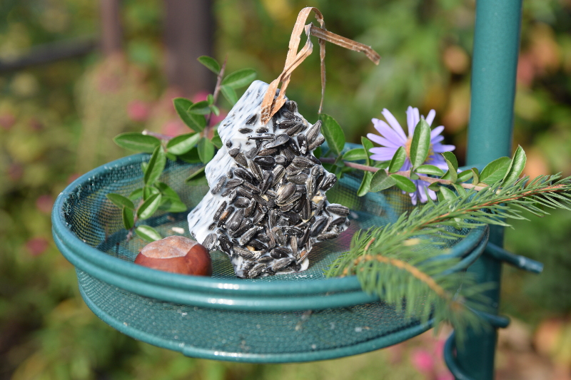 choinka choinka tłuszczowa