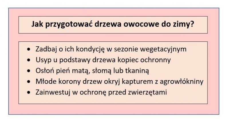 Tabela przedstawiająca metody zimowej ochrony drzew owocowych; opracowanie własne