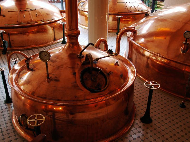 Fermentacja