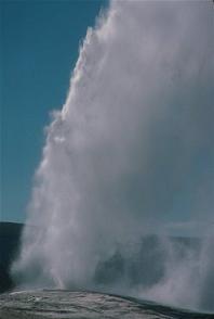 Gejzer w Parku Yellowstone Gejzer Yellowstone