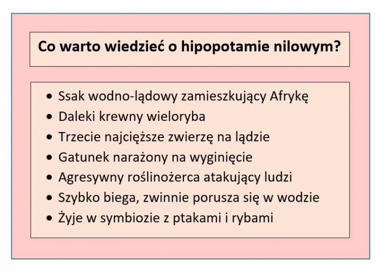 Tabela przedstawiająca najciekawsze fakty o hipopotamie nilowym; opracowanie własne