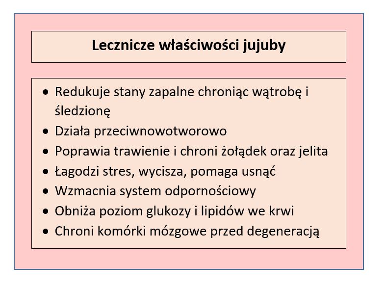 Tabela przedstawiająca właściwości owoców jujuby; opracowanie własne na podst. https://www.ncbi.nlm.nih.gov/pmc/articles/PMC8214949/