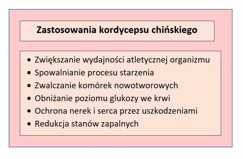 Tabela przedstawiająca właściwości zdrowotne kordycepsu chińskiego; opracowanie własne