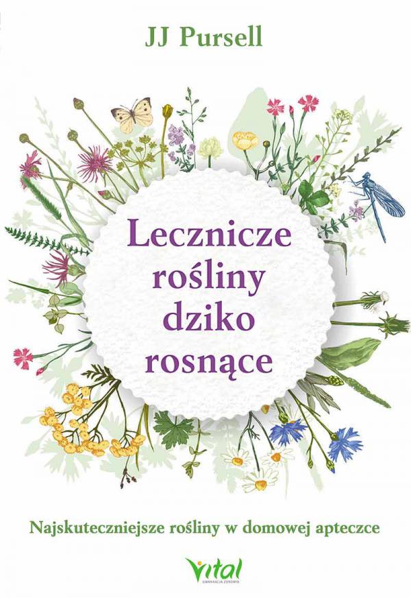 lecznice rośliny lecznicze rośliny