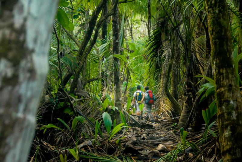  Park Narodowy Corcovado, Fot. LOUIS-MICHEL DESERT/Shutterstock