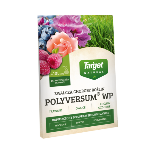polyversum
