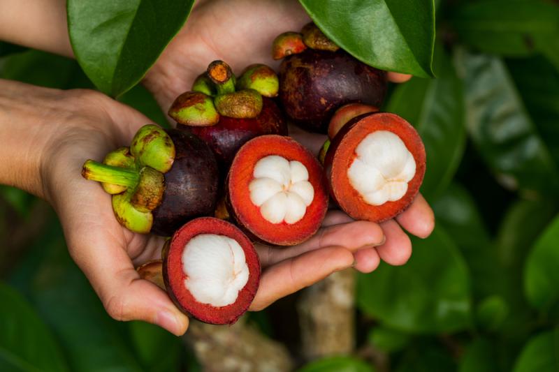 Mangostan, fot. shutterstock