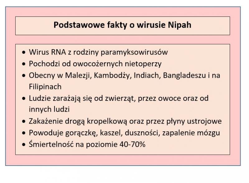 Tabela przedstawiająca podstawowe fakty o wirusie Nipah; opracowanie własne