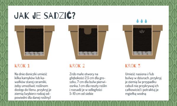 sadzenie jak sadzić warzywa
