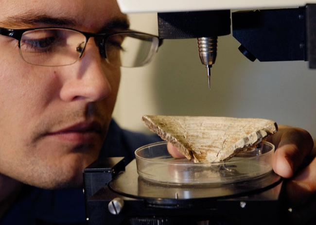 Fot.: Dane Ehret badający skamieniałe pozostaosci rekina (Florida Museum of Natural History)
