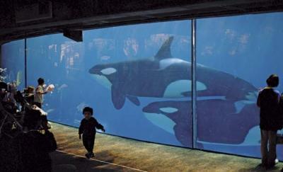 Oceanarium w San Diego. Fot: britannica.com