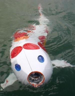 Ryba robot konstrukcji inżynierów z Hiroszimy. Fot. Kyodo News